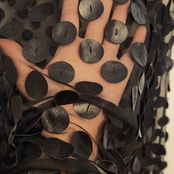 Sheer Black Polka Dot Long Sleeve Dress - Picture 2 of 3